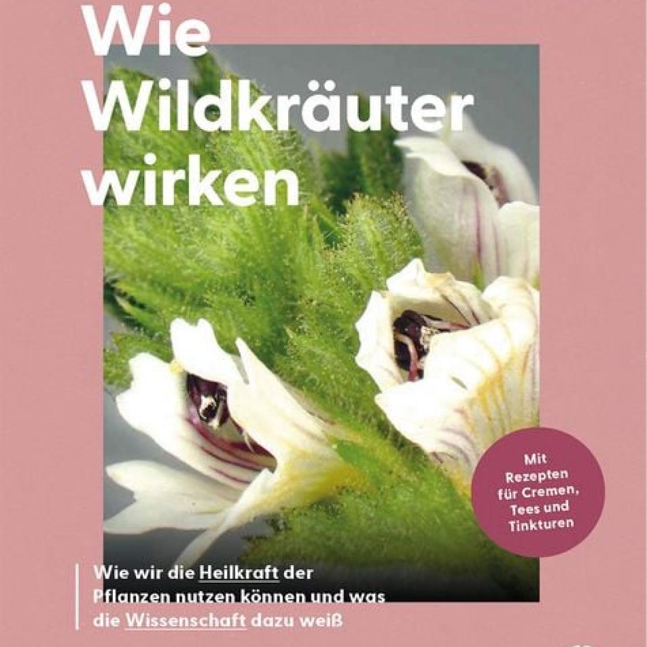 Wie Wildkräuter wirken Titelblatt